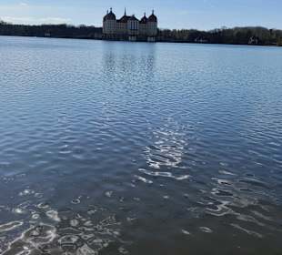 Schloss Moritzburg