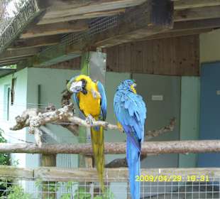 10 Minuten vom Eckwirt zum Vogelpark 