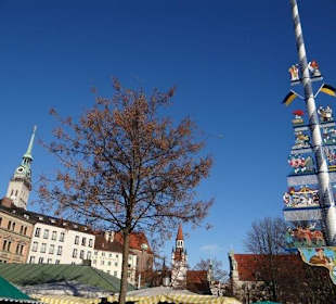 Maibaum