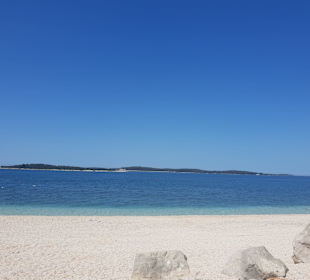 Strand Surida