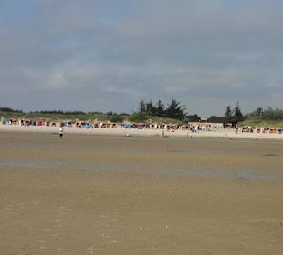 Blick bei Ebbe zum Hauptstrand