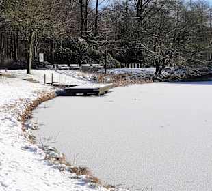 Winterspaziergang durch den Bürgerpark