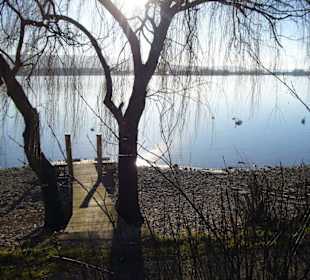 Blick über den Gnadensee auf die Insel Reichenau