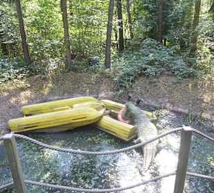 Mit dem Jeep unterwegs