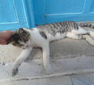 Kreta