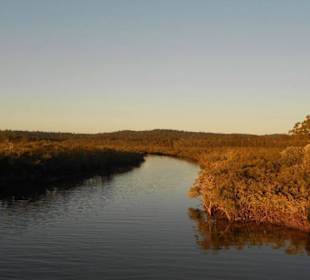 Fraser Island
