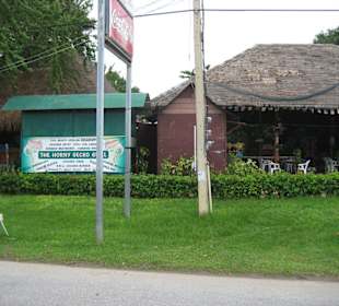 The Horny Gecko Grill