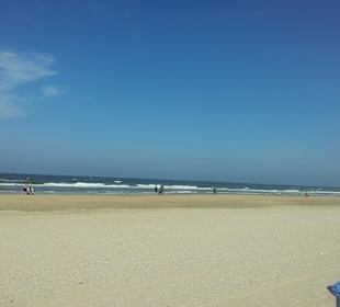 Egmonds toller Strand