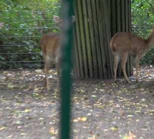 Tierpark
