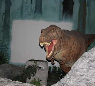 Dinosaurier beim Eintritt ins Museeum