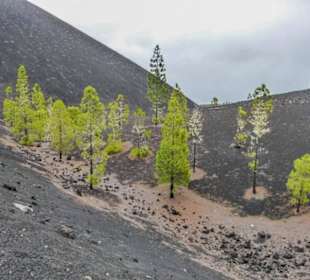 Rund um den Garachico-Vulkan
