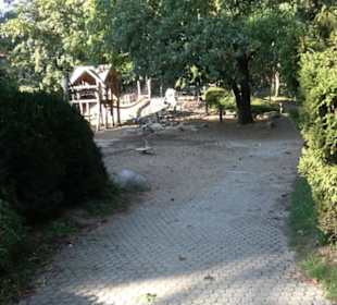 Alter Botanischer Garten