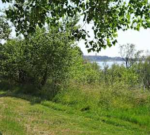 Blick auf die Uferzonen des Lac de la Raho