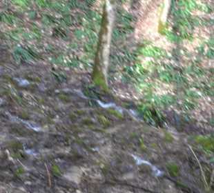 Wasserfallsteig