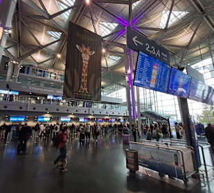 Flughafen Basel Mülhausen Freiburg (EAP)