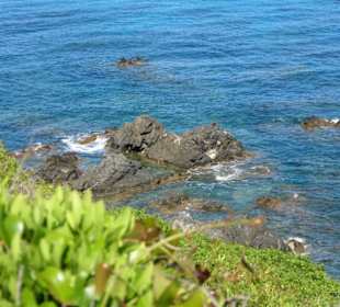 Ausblick bei Wanderung bei den Iles Sanguinaires