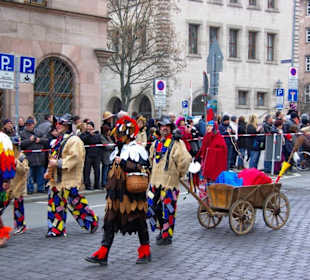 Nürnberger-Faschingsumzug 2014 