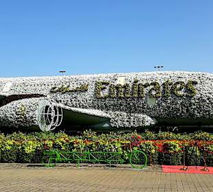 Miracle Garden