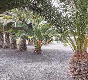 Museo Cesar Manrique