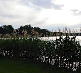 Wandern Groß Köris