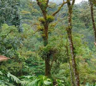 La Paz Waterfall Gardens