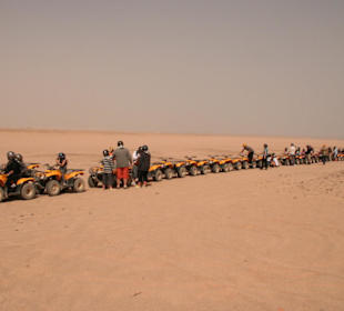Quad Safari