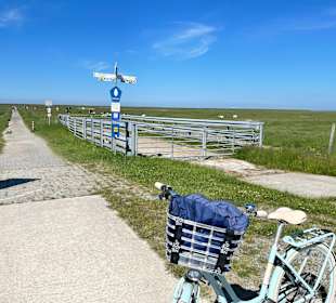 Natur Erleben Langwarder Groden
