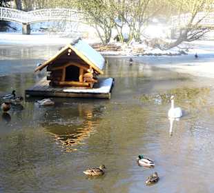 ImpressionOstern2013