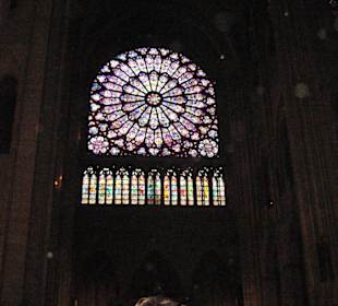 rosone di Notre Dame