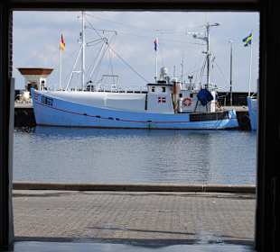 Blick aus der Auktionshalle