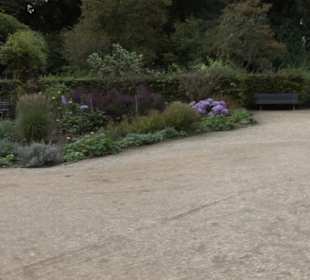 Rosengarten im Tiergarten