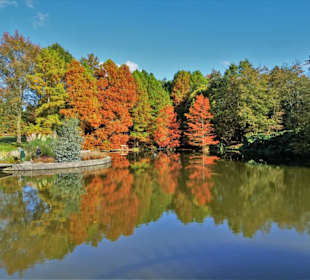 Impressionen aus dem Botanischen Garten Hamburg