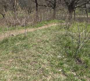 Wanderung Florianrunde