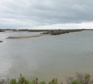 Salinen von Faro: Wanderung bei den Salinen