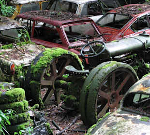 Oldtimer auf Historischem Autofriedhof in Kaufdorf