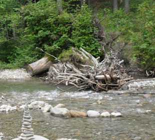 Wunderschön,aber überall klettern sie rein und wat