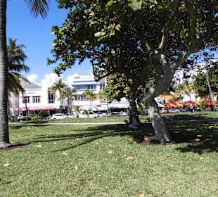 Blick auf den Ocean Drive