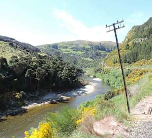 Mit der Taieri Railway durch die Natur Neuselands