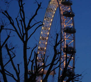 London Riesenrad bei Nacht