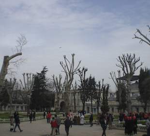 Garten der Blauen Moschee