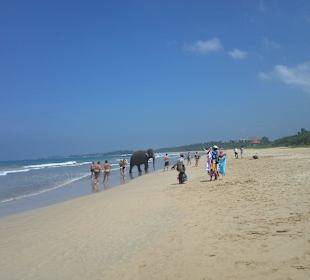 Strand in Bentota