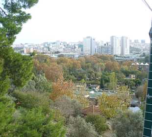 Blick aus der Seilbahn