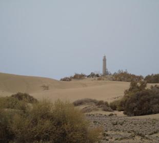 Dünen Maspalomas