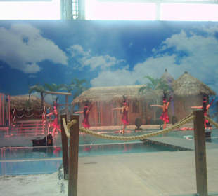 Abendshow in der Südsee