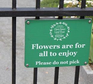 Laßt die Blumen dran