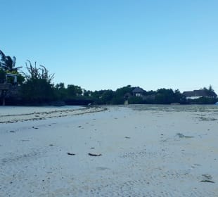 Pongwe Strand