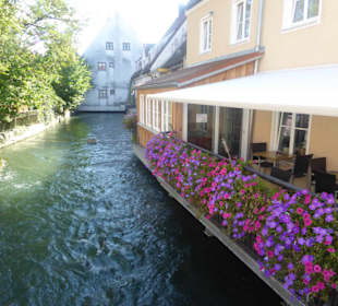 Restaurant Gaia