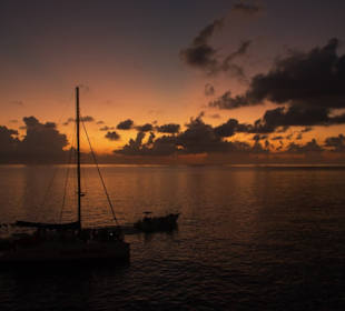 Der berühmte Sonnenuntergang, Mitte November 2019 