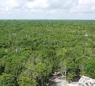 Aussicht von Coba-Pyramide