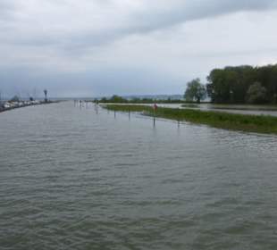 Fahrt mit dem Linienboot auf dem Alten Rhein